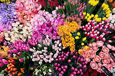 《死神：魂魄觉醒》新DLC上线 四番队队长参战